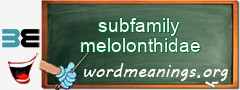 WordMeaning blackboard for subfamily melolonthidae